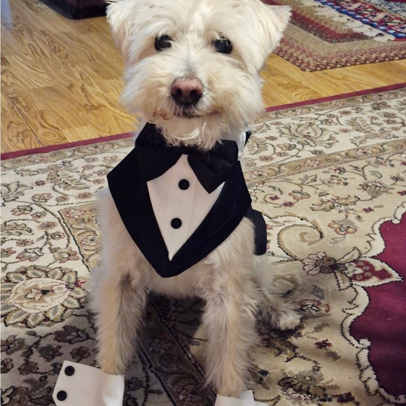 Meet your Posher, Everblue Industries - Picture 4 of 12